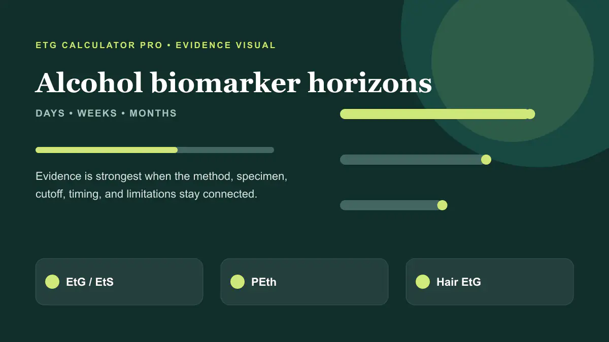 Detection horizons for ethanol, urine EtG and EtS, blood PEth, and hair EtG