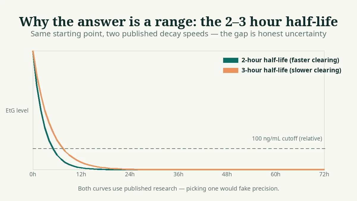 Two EtG decay curves showing the published 2-hour and 3-hour half-life range
