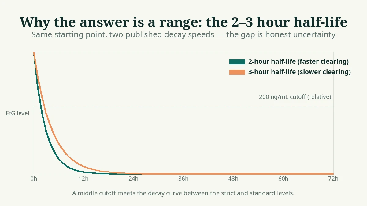 Two EtG decay curves showing the published 2-hour and 3-hour half-life range against the 200 ng/mL cutoff