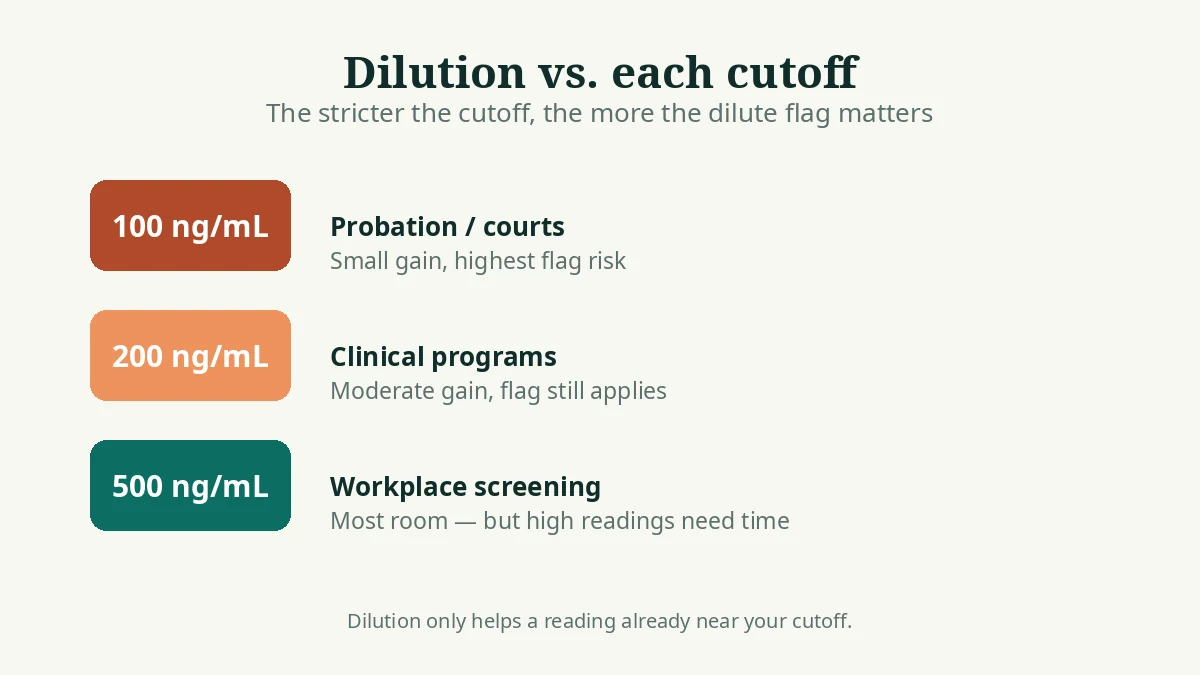 How water dilution interacts with 100, 200, and 500 ng per milliliter EtG cutoffs, including the dilute-sample flag risk