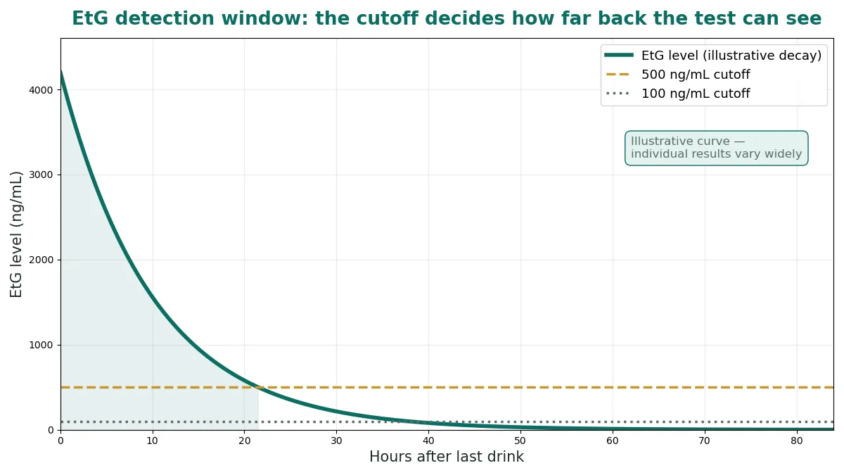EtG concentration decay curve over 80 hours with 100 and 500 ng/mL cutoff lines showing different detection windows