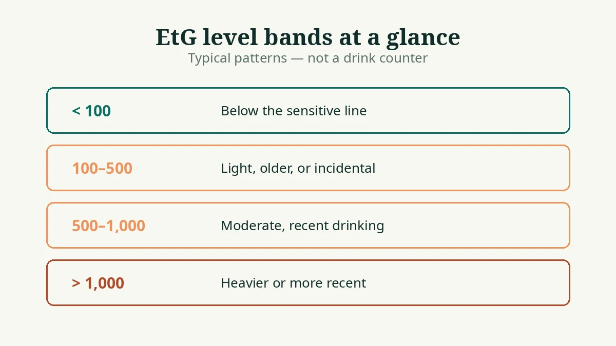 Chart of EtG level bands in ng/mL from below 100 to above 1000 with plain-language meanings