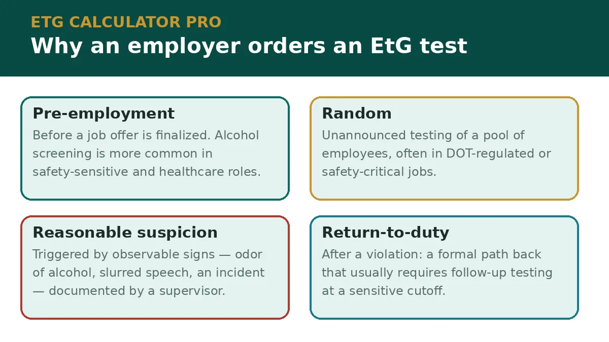 The four main reasons an employer orders an EtG test: pre-employment, random, reasonable suspicion, and return-to-duty