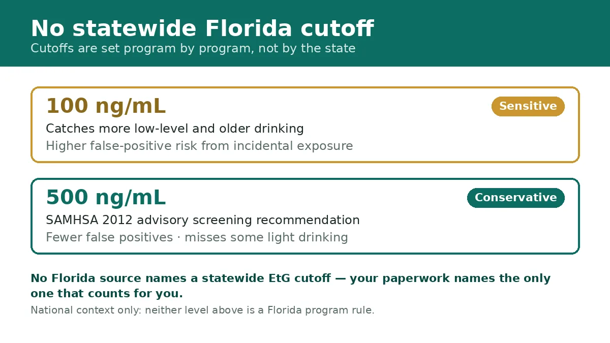 Graphic showing there is no statewide Florida EtG cutoff, with 100 and 500 ng/mL shown only as national screening context