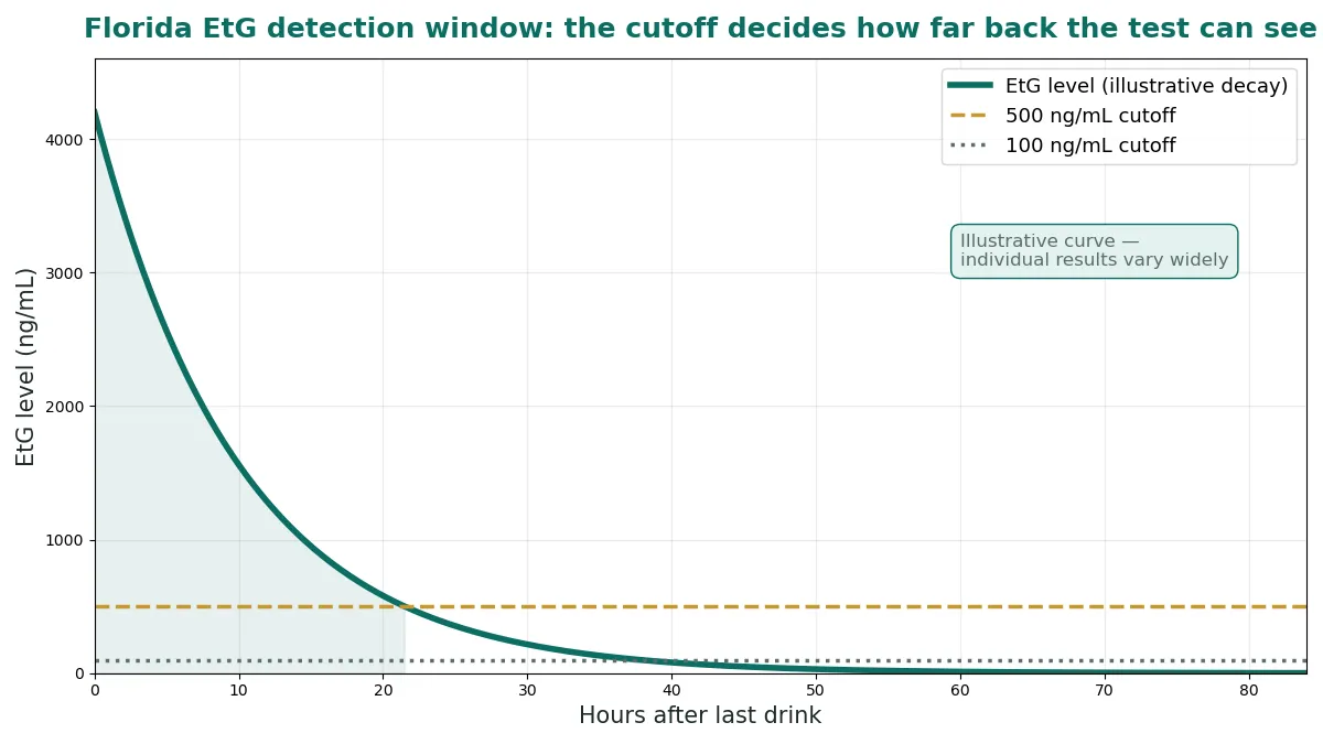 Timeline graphic showing EtG detection windows after drinking: single drink one to two days, heavy drinking up to about 80 hours, longer at lower cutoffs