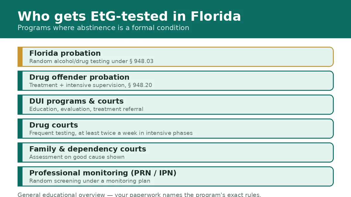 Illustration of who gets EtG tested in Florida: probation clients, drug offender probation, DUI programs, drug courts, family courts, and professional monitoring programs