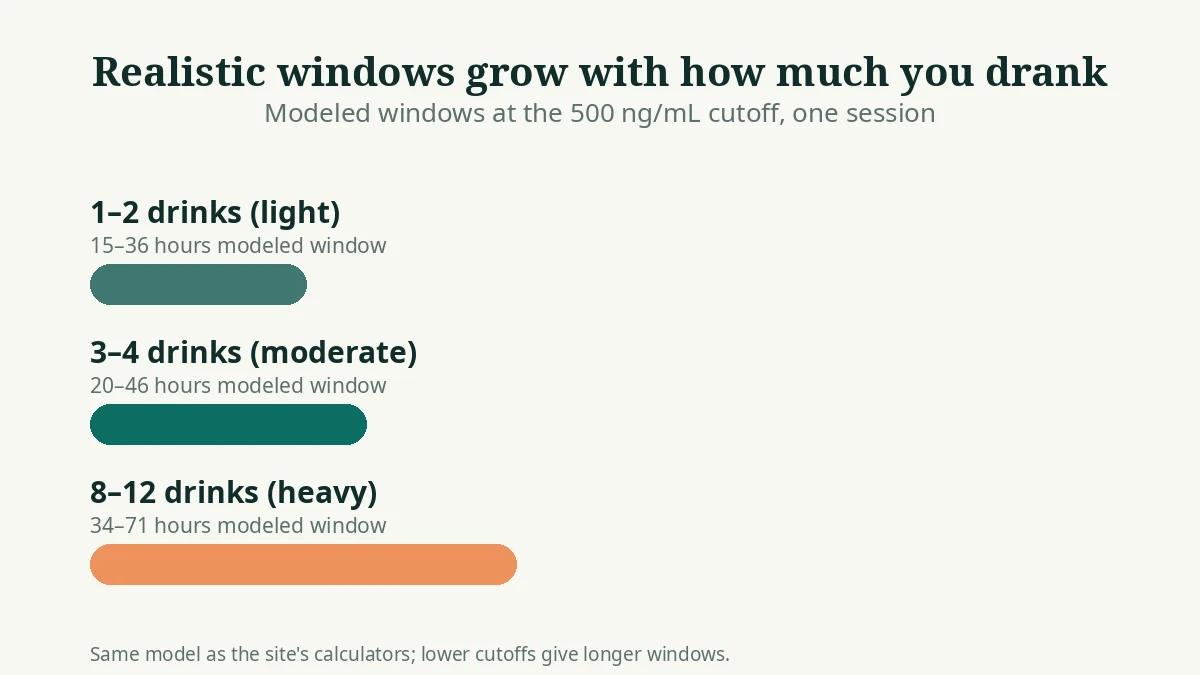 Bar chart showing modeled EtG detection windows growing with drink count at the 500 ng/mL cutoff