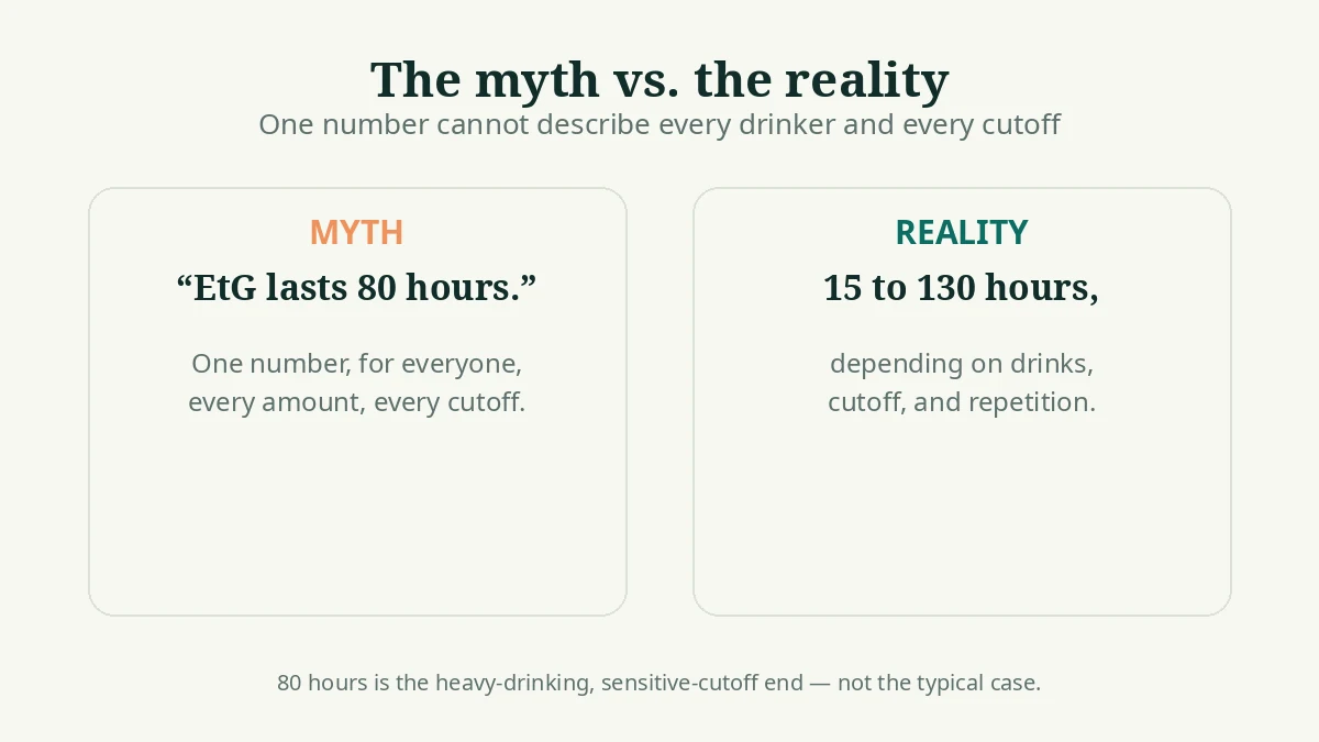 Comparison of the 80-hour myth against the realistic 15 to 130 hour range depending on drinks and cutoff
