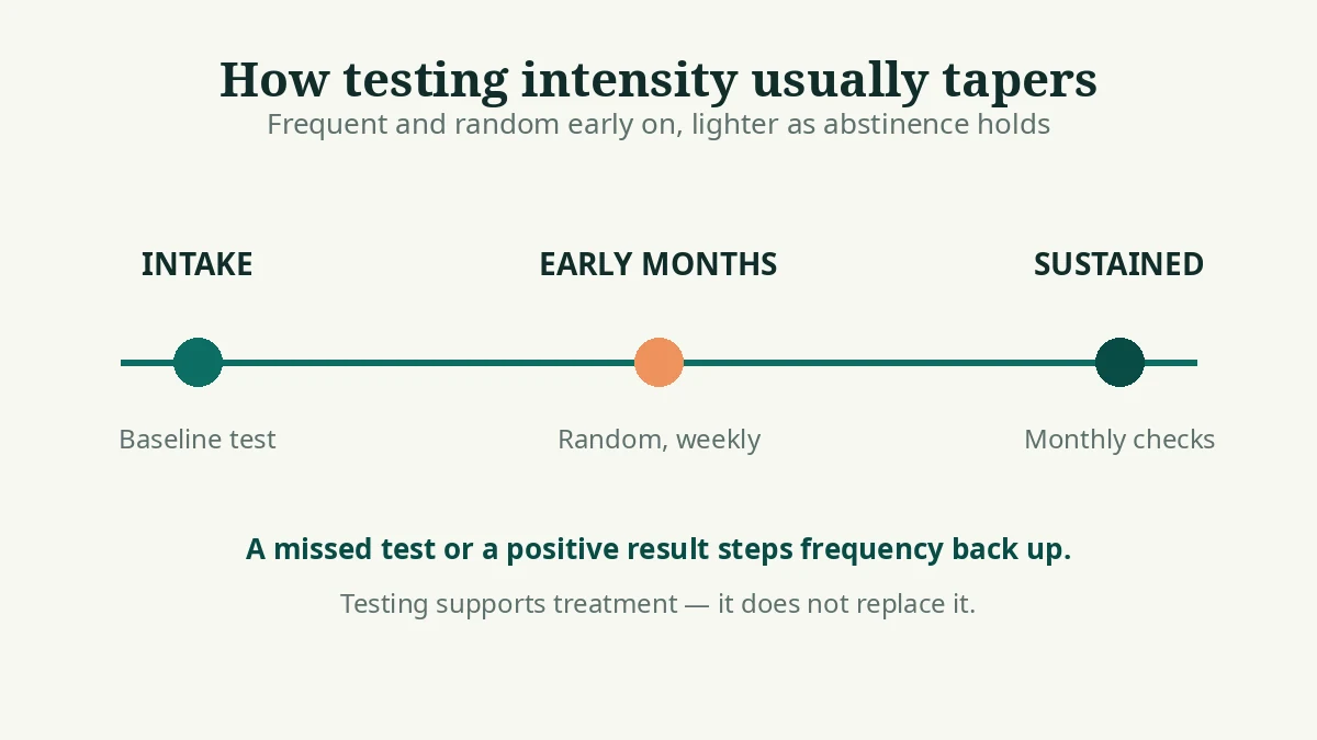 How EtG testing frequency in recovery programs typically tapers from intake through early months to sustained recovery, stepping back up after a missed or positive test