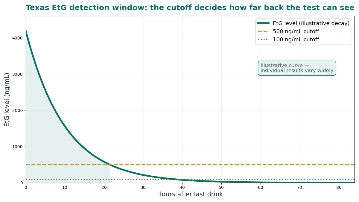 Timeline graphic showing EtG detection windows after drinking: single drink one to two days, heavy drinking up to about 80 hours, longer at lower cutoffs