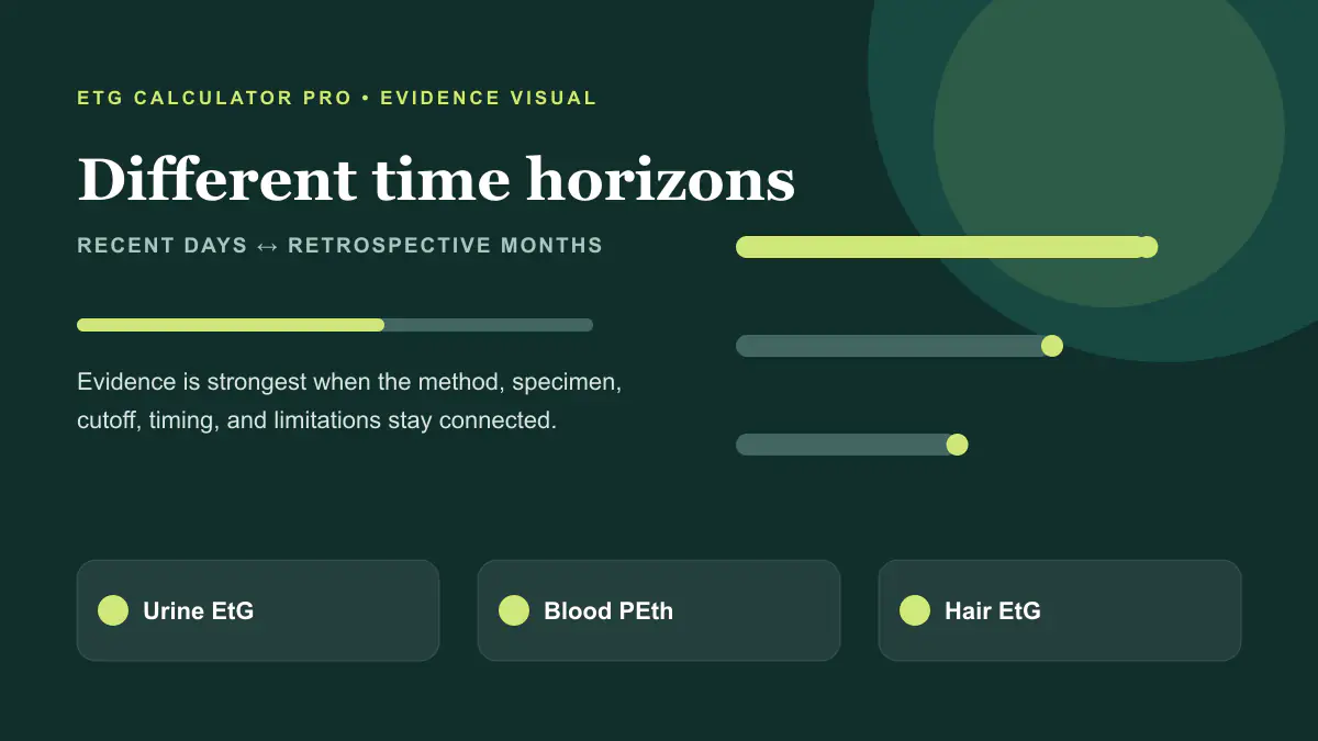 Urine EtG and hair EtG detection windows compared from recent days to retrospective months